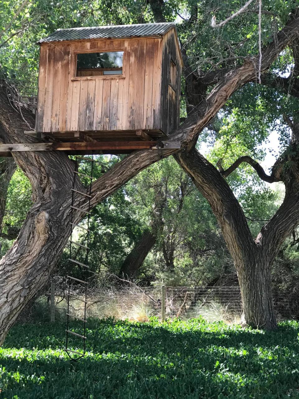 Morning Star Bed & Breakfast Of Corrales מראה חיצוני תמונה