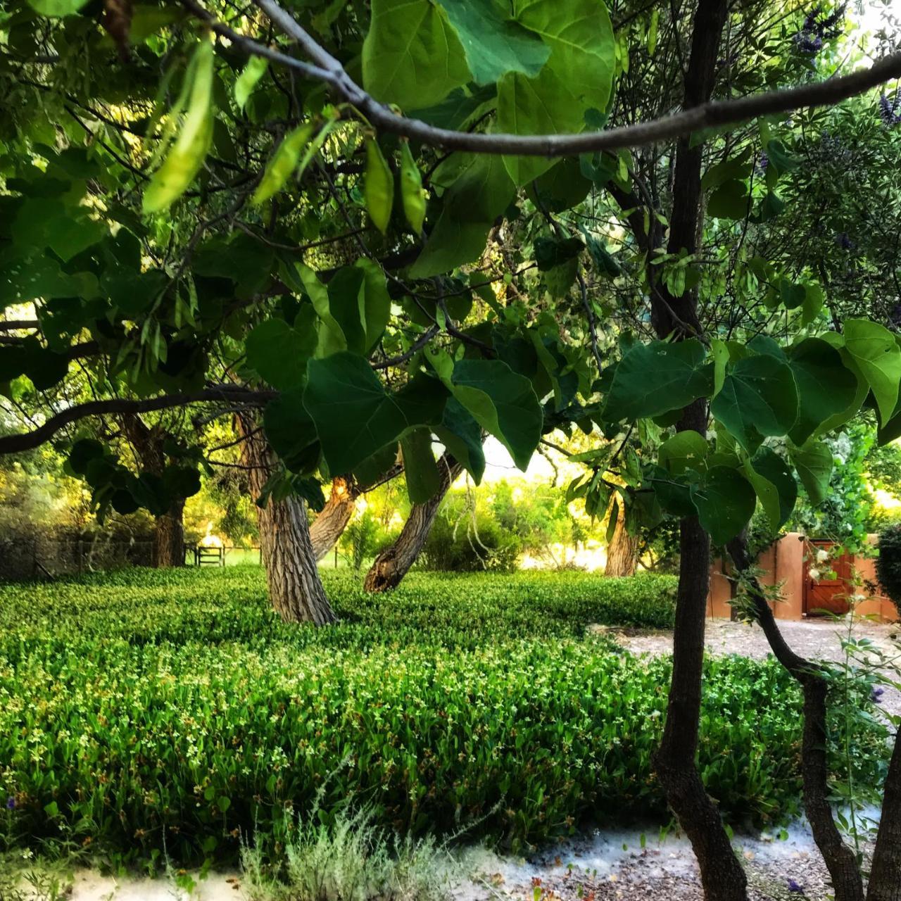 Morning Star Bed & Breakfast Of Corrales מראה חיצוני תמונה