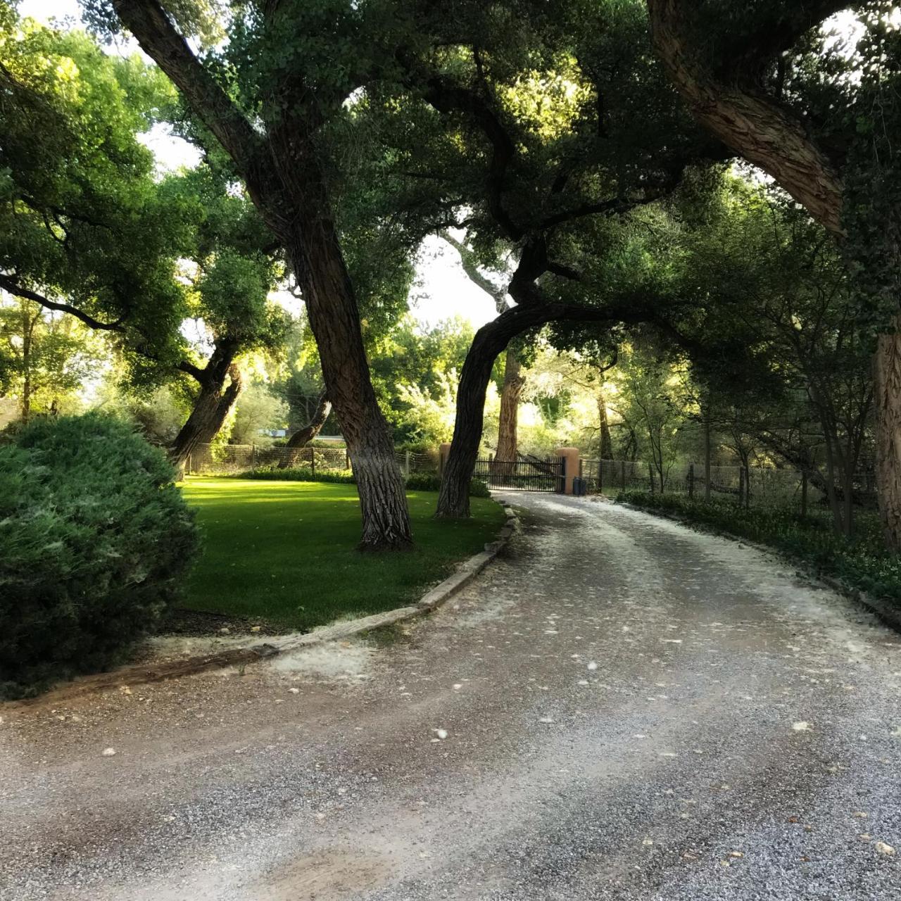 Morning Star Bed & Breakfast Of Corrales מראה חיצוני תמונה